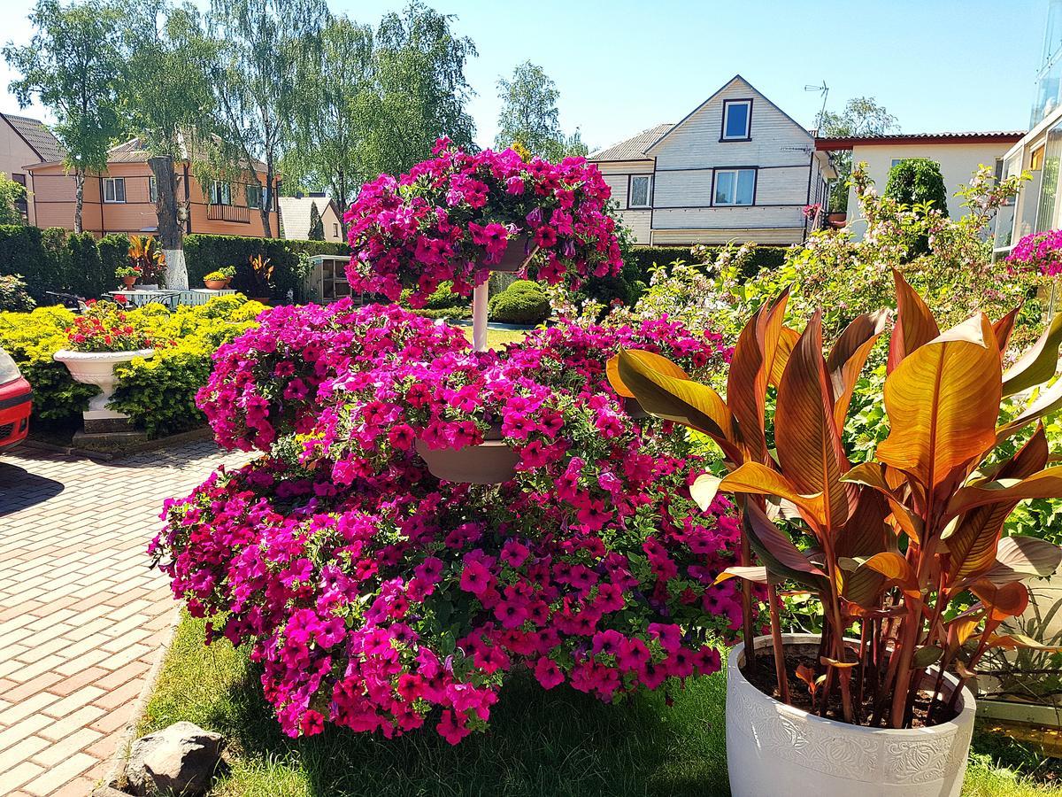 Justinos Vila Palanga Exteriör bild